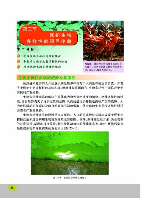 第二节 保护生物多样性的艰巨使命(第58页)