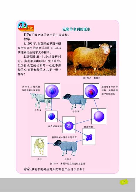 第一节 现代生物技术的应用(第13页)