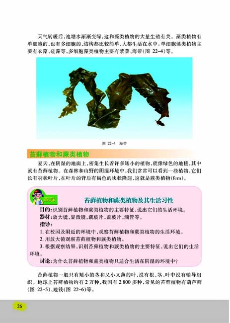第二节 五彩缤纷的植物世界(第26页)
