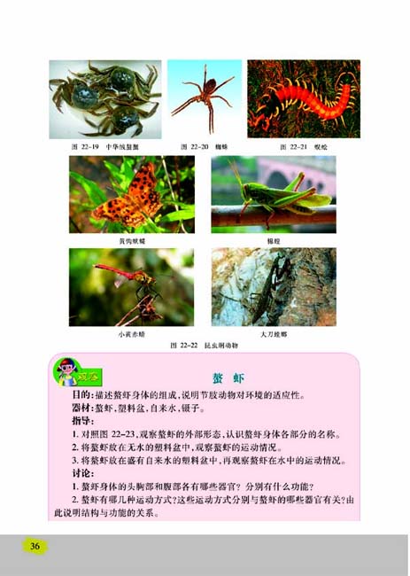 第三节 千姿百态的动物世界(第36页)