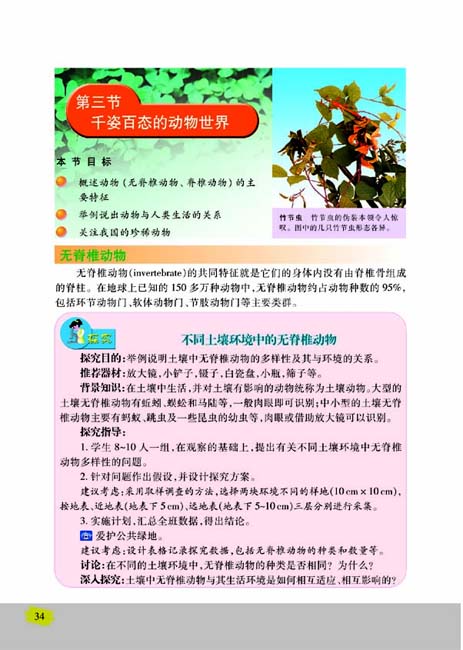 第三节 千姿百态的动物世界(第34页)