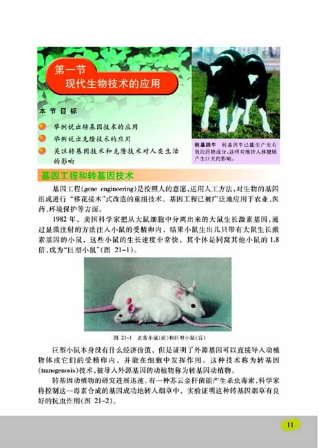 第一节 现代生物技术的应用(第11页)
