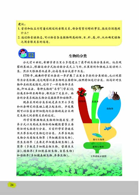 第一节 生物的分类(第24页)