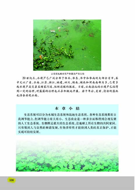 第一节 生物圈中的各种生态系统(第108页)