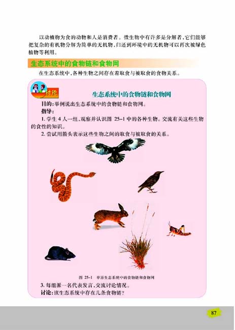 第一节 生态系统的组成(第87页)