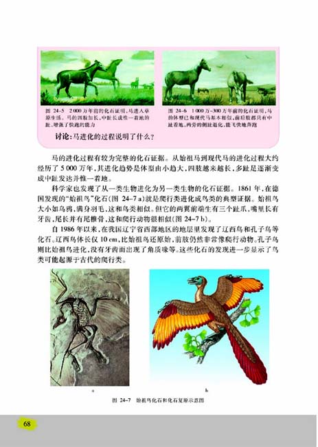 第二节 生物进化的历程(第68页)