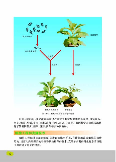 第一节 现代生物技术的应用(第12页)