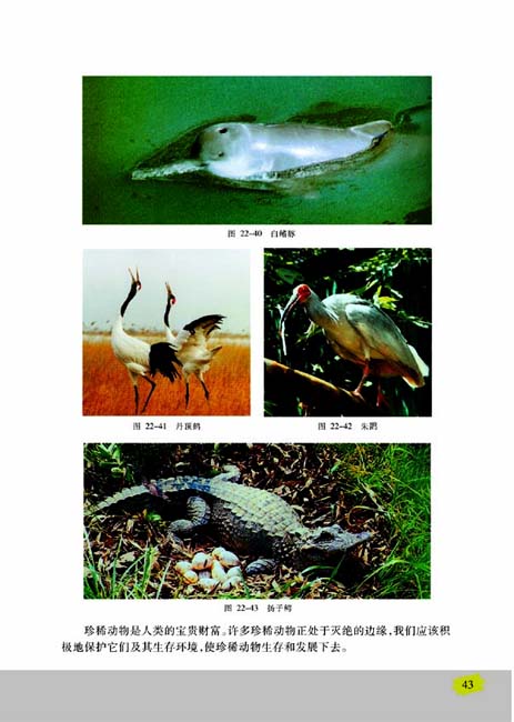 第三节 千姿百态的动物世界(第43页)