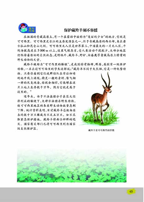 第三节 千姿百态的动物世界(第45页)