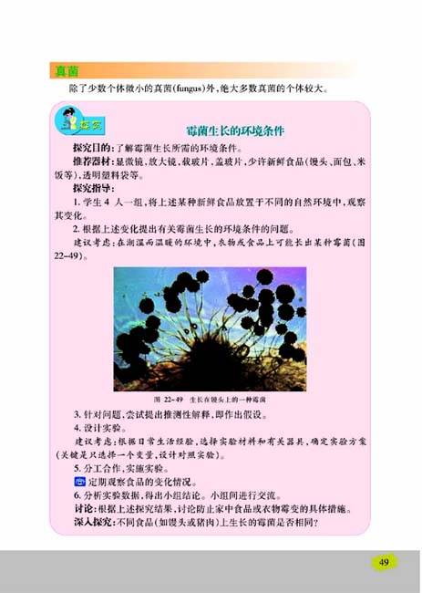 第四节 神奇的微生物(第49页)