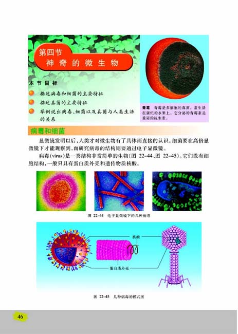 第四节 神奇的微生物(第46页)