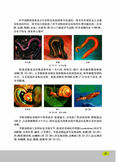第三节 千姿百态的动物世界(第35页)