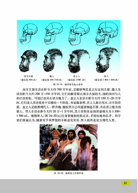 第四节 人类的起源和进化(第81页)