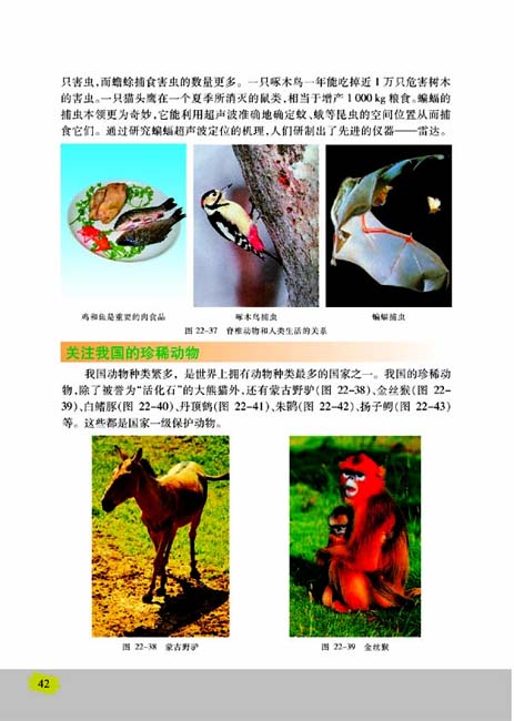 第三节 千姿百态的动物世界(第42页)