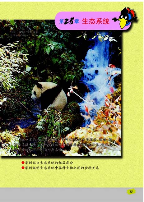 第25章 生态系统(第85页)