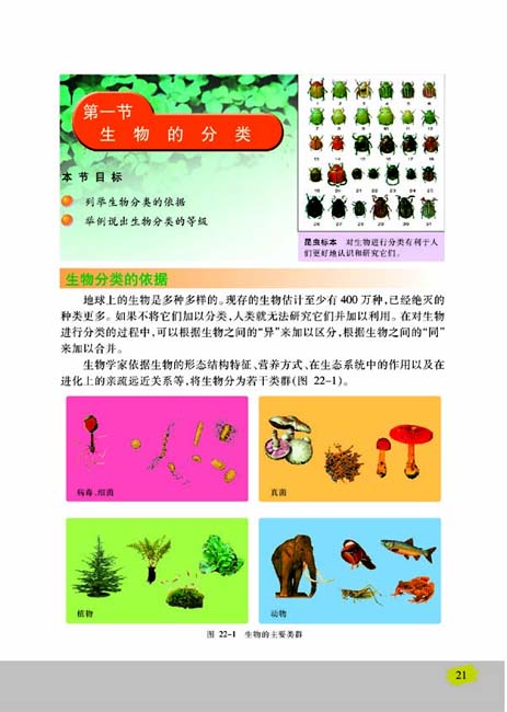 第一节 生物的分类(第21页)