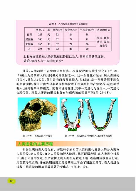第四节 人类的起源和进化(第80页)