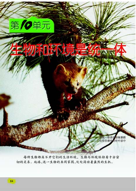 第10单元 生物和环境是统一体(第84页)