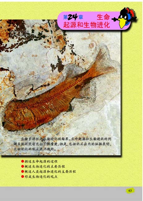 第24章 生命起源和生物进化(第63页)