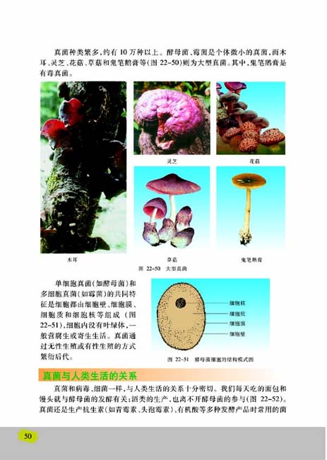 第四节 神奇的微生物(第50页)