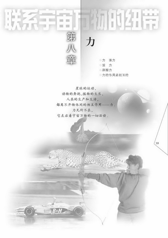 第八章 力(第39页)