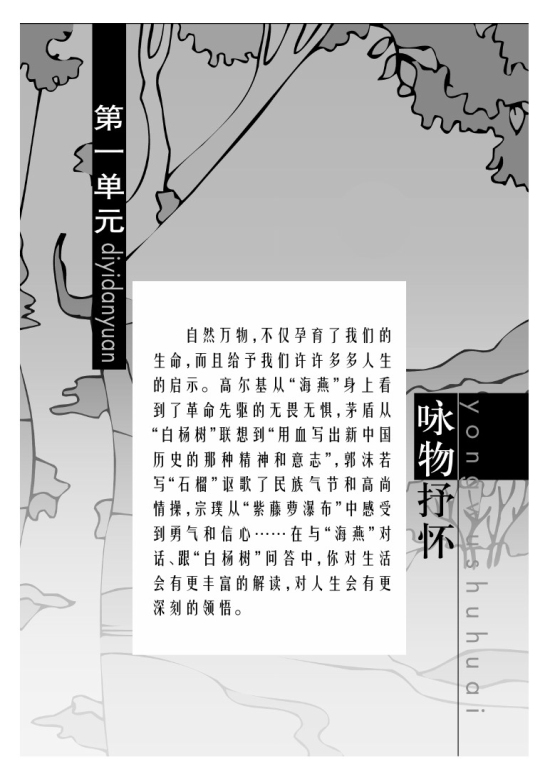 封面/前言/目录