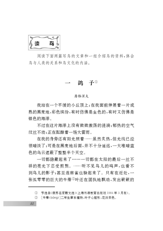 专题 鸟(第32页)