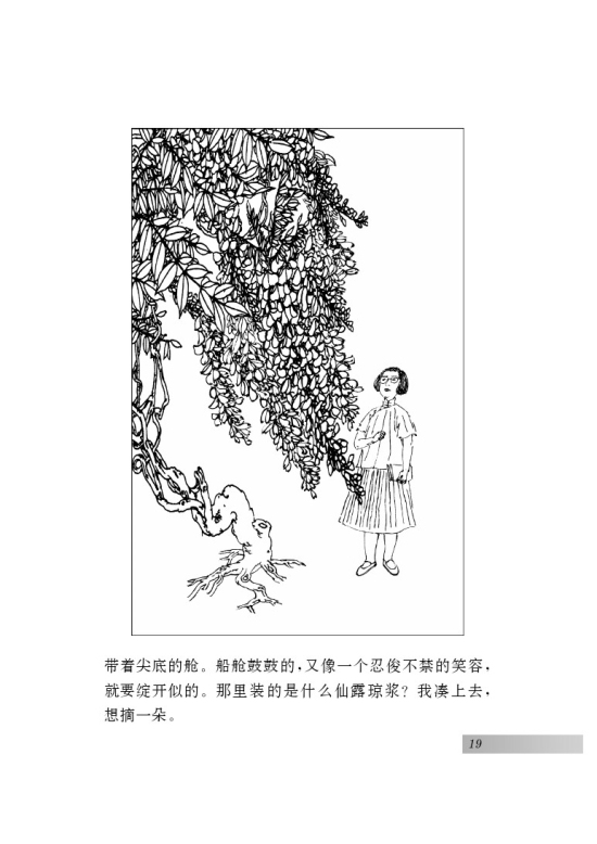 五 *紫藤萝瀑布(第19页)