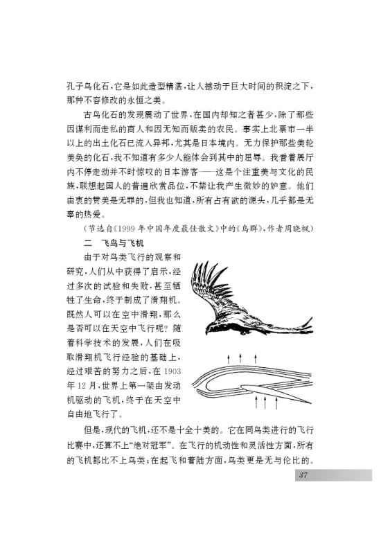 专题 鸟(第37页)