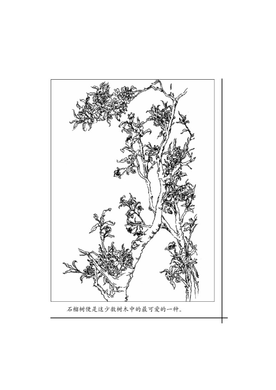 三 *石榴(第11页)