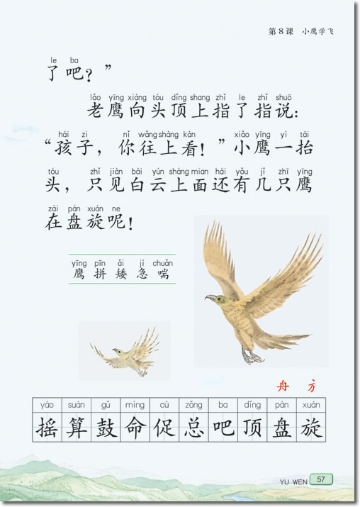 8 小鹰学飞(第57页)
