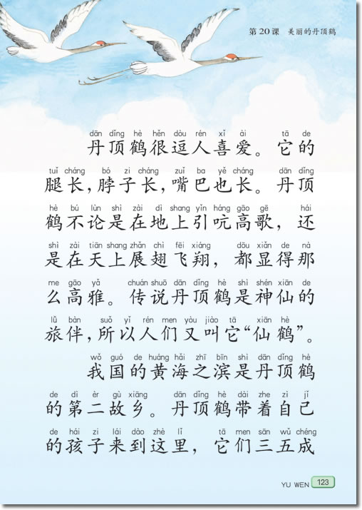 20 美丽的丹顶鹤(第123页)