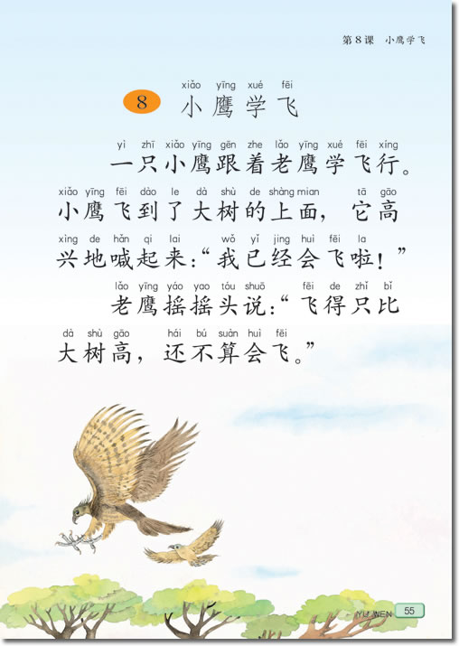 8 小鹰学飞(第55页)