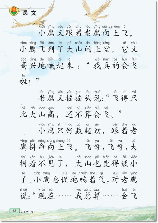 8 小鹰学飞(第56页)