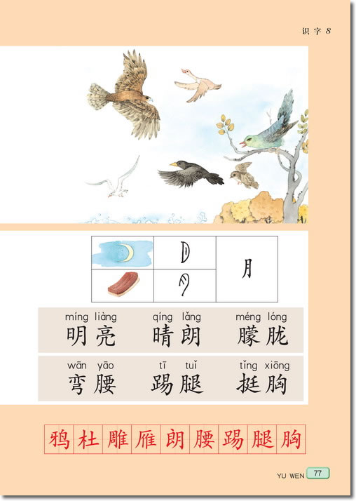 识字(第77页)