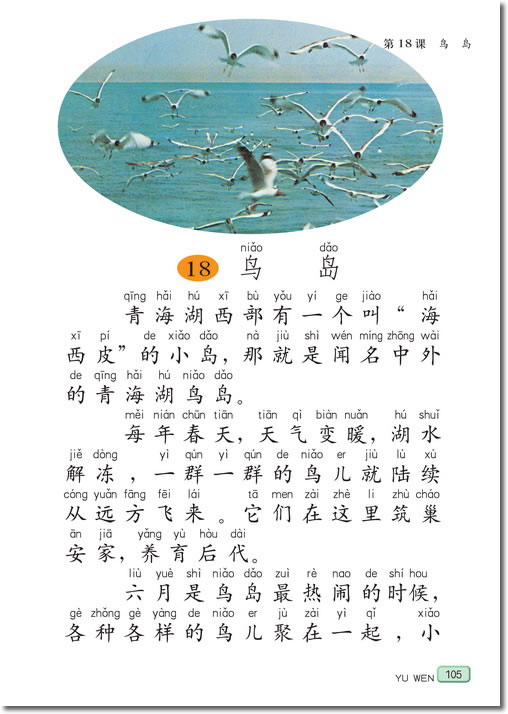 18 鸟岛(第105页)