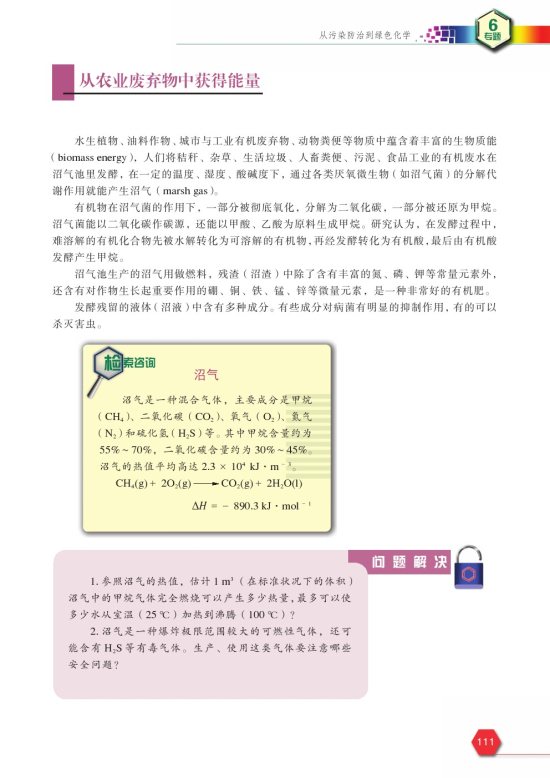 第一单元 环境污染的化学防治(第111页)