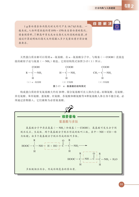 第二单元 提供能量与营养的食物(第55页)