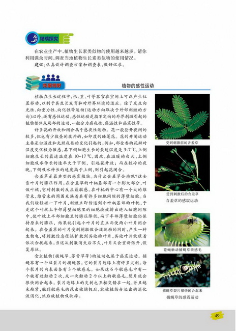 其他植物激素(第49页)