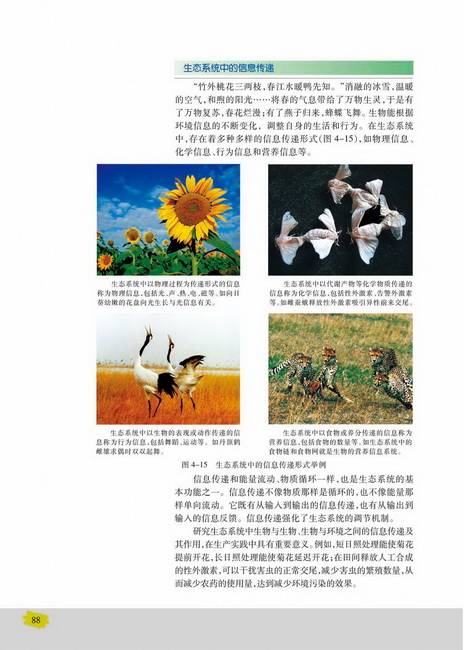 生态系统中的信息传递(第88页)