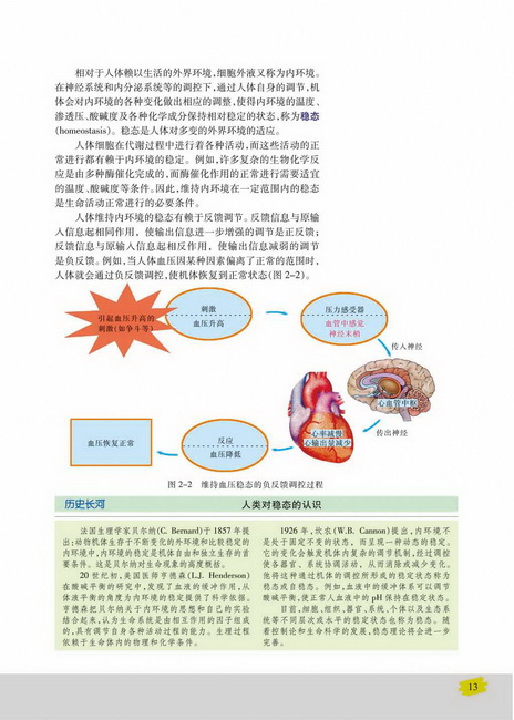 第一节 人体的稳态(第13页)
