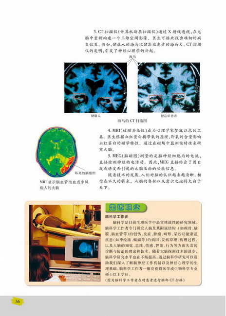 人体的激素调节(第36页)