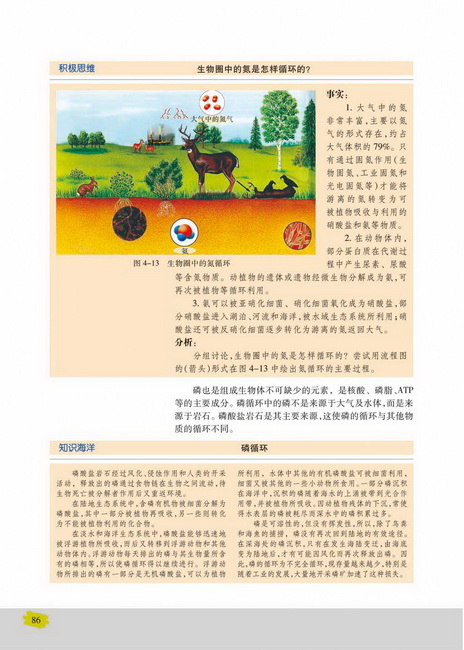 生态系统中的物质循环(第86页)