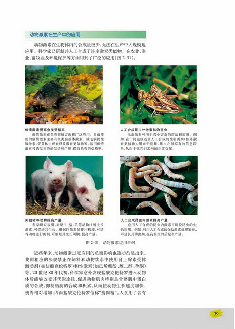 动物激素在生产中的应用(第39页)