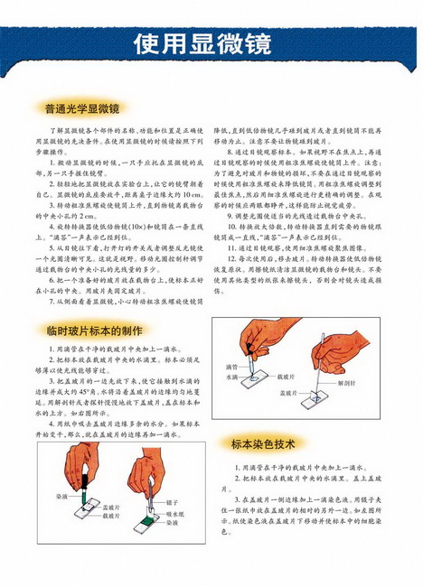 人类可持续发展(第115页)