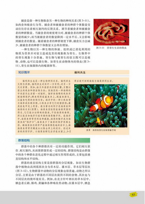 群落结构(第63页)
