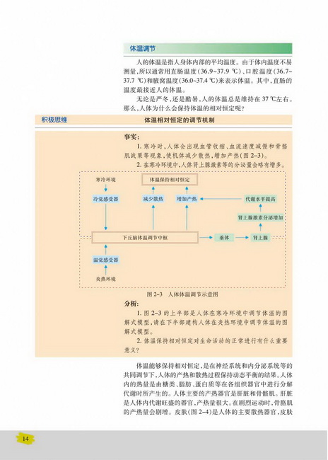 体温调节(第14页)