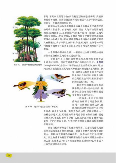 群落结构(第64页)