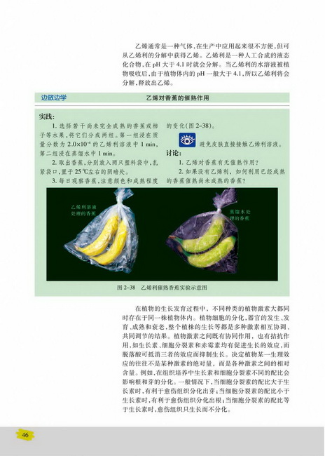其他植物激素(第46页)