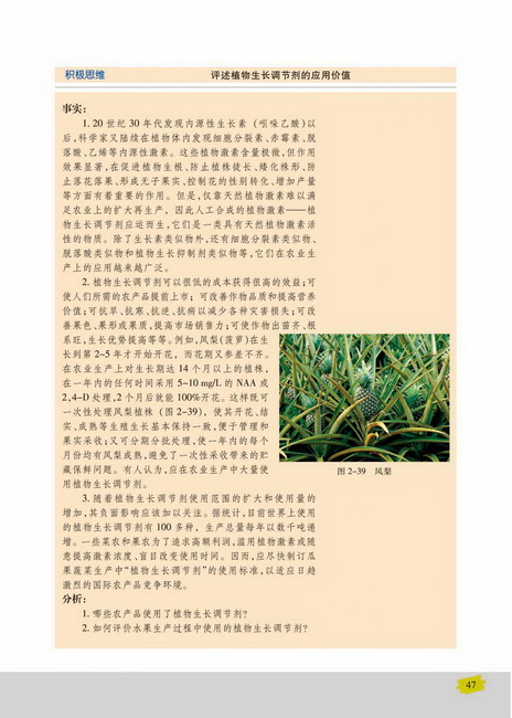 其他植物激素(第47页)